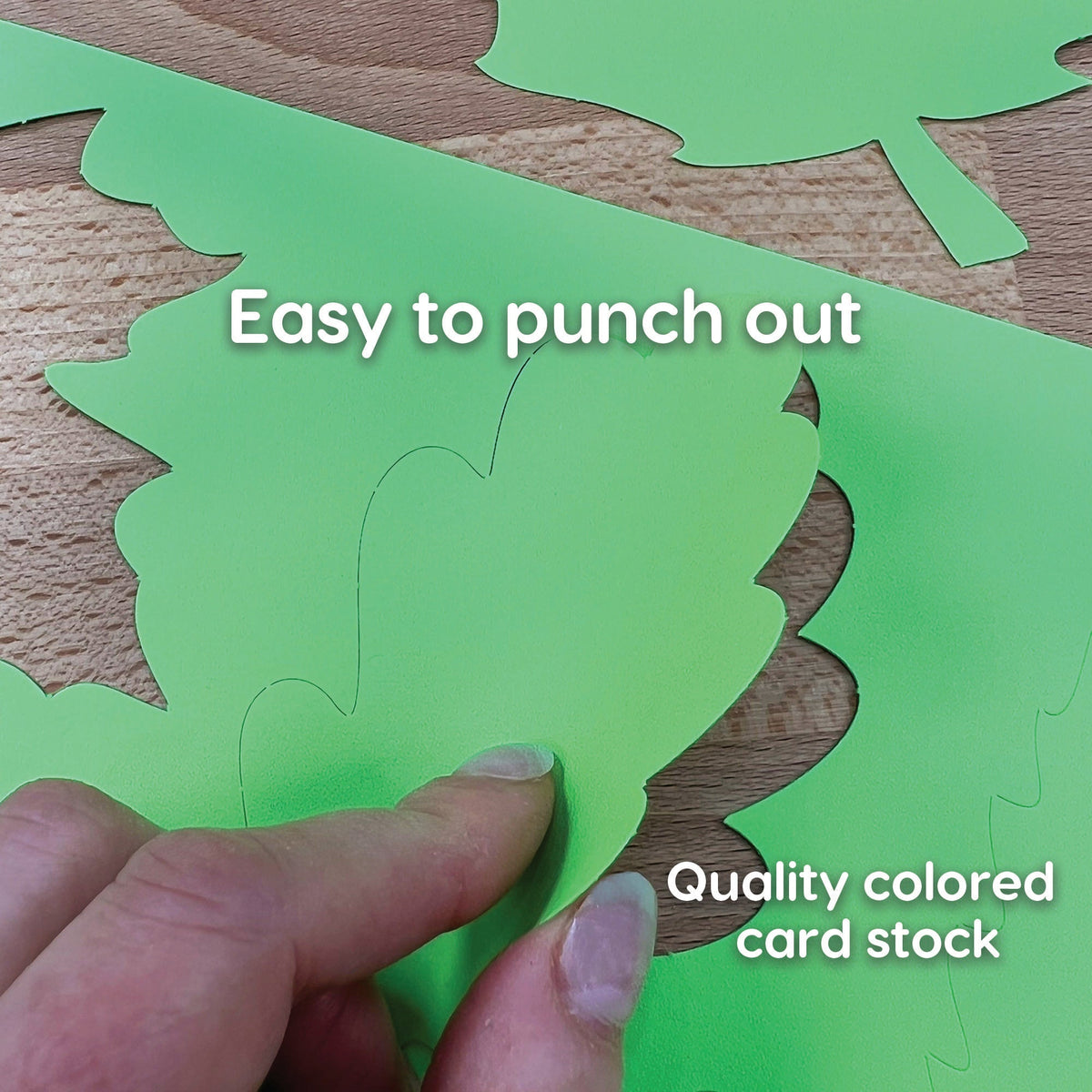 Spring Shape Cutouts
