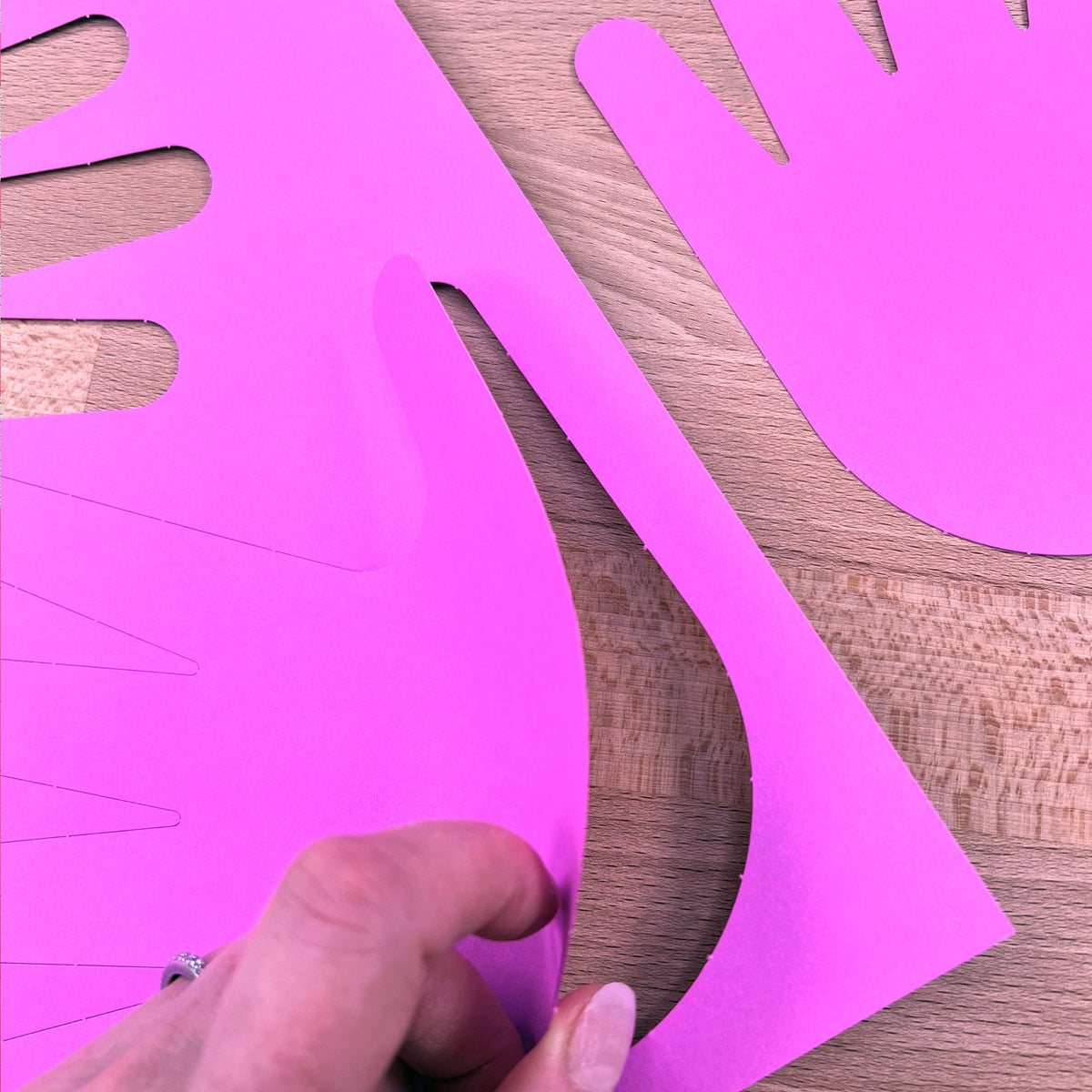 Handprint Cutouts